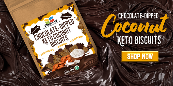 Chocolate-Dipped Keto Coconut Biscuits