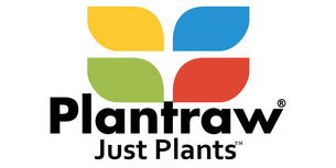 Plantraw.com